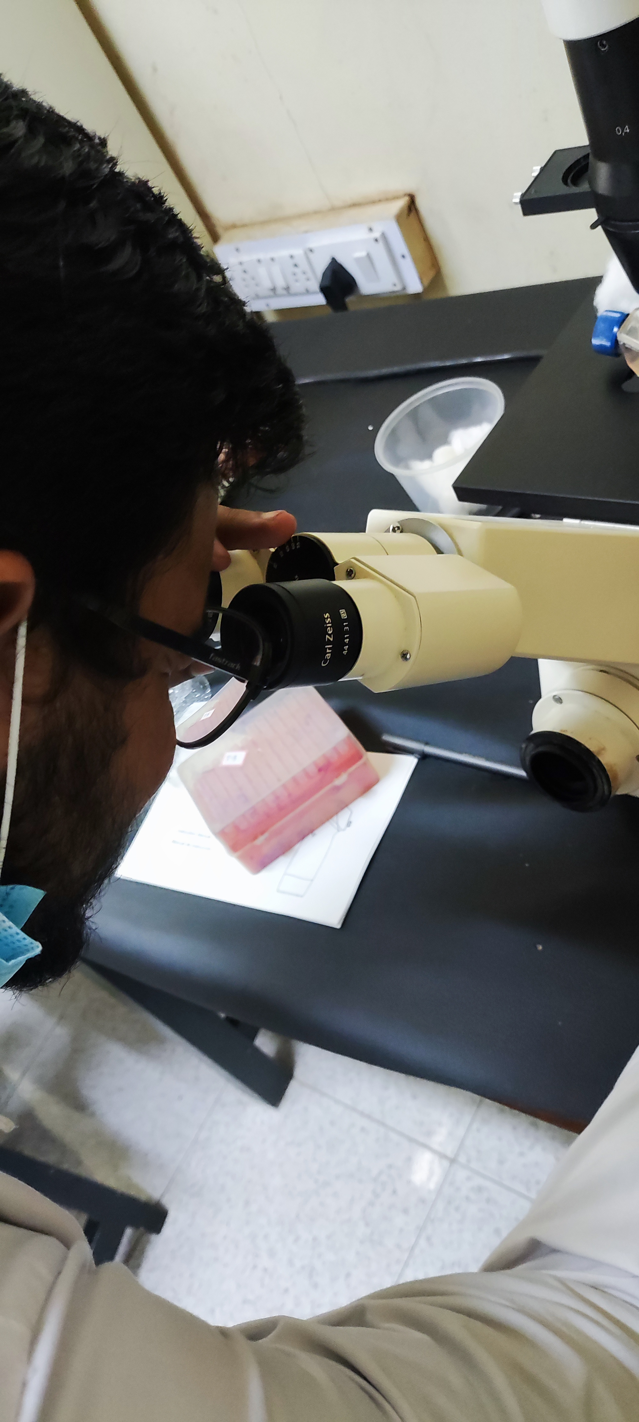 Vaishnav working with a microscope