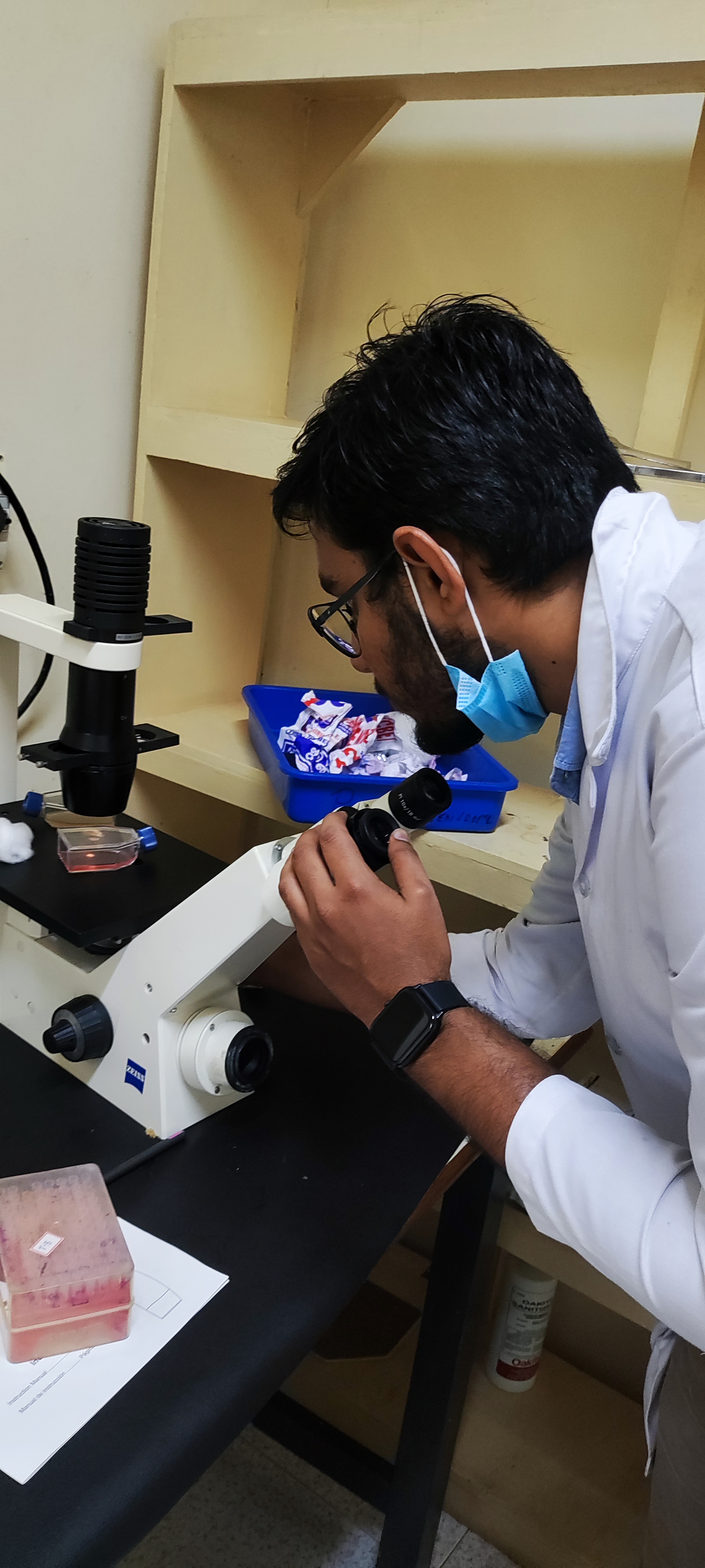 Microscope session, second photo